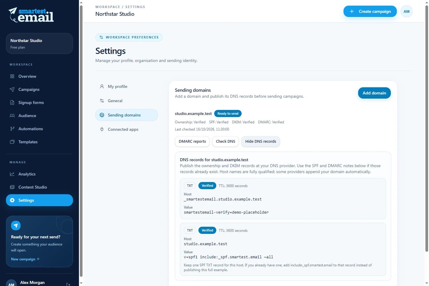 smartest.email sending domain workspace with example verification details