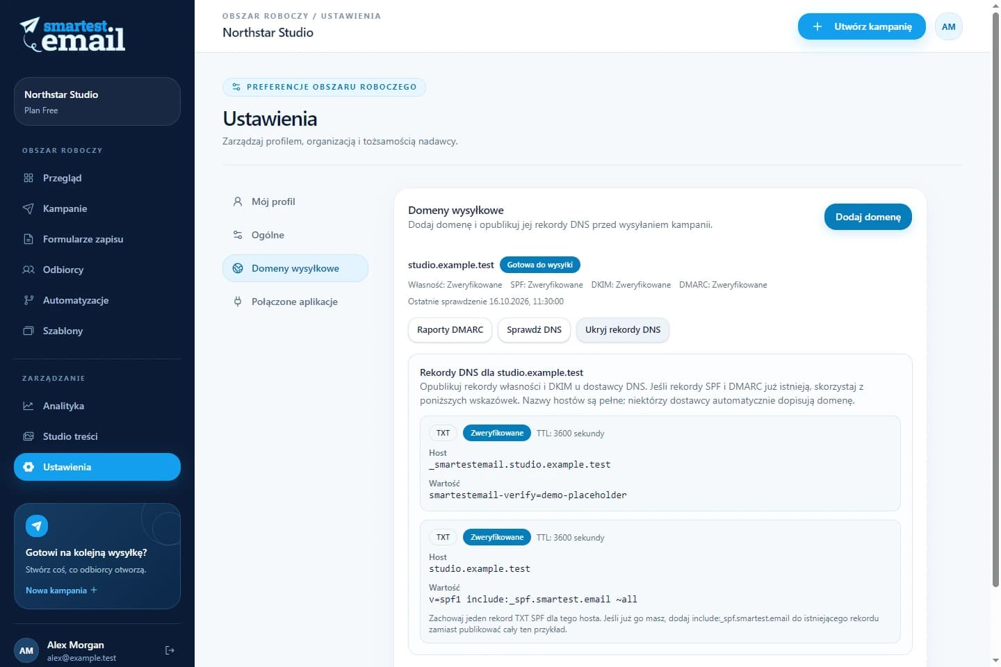 Obszar domen wysyłkowych smartest.email z przykładowymi danymi weryfikacji