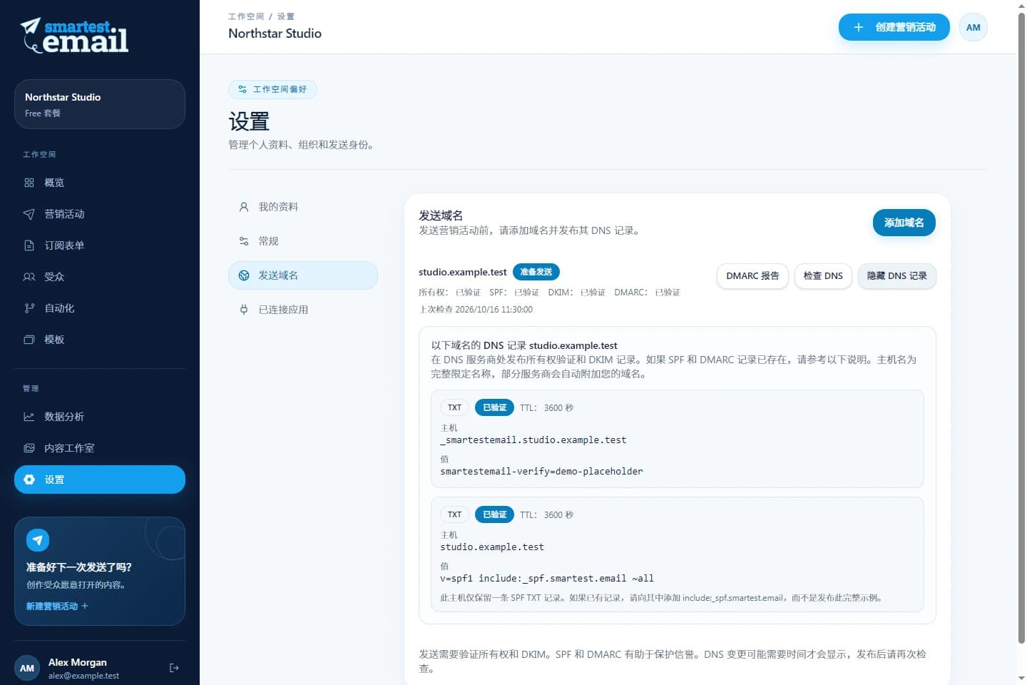 smartest.email 发送域名工作空间，展示示例验证详情